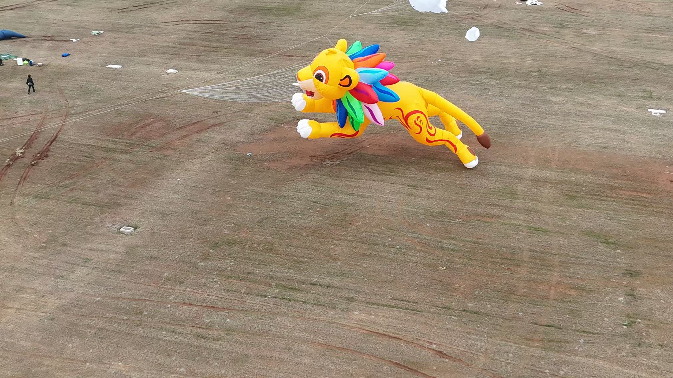 南宁市品牌风筝定制风筝定制 - 哪里好